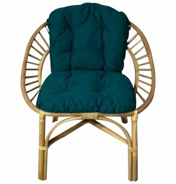 Кресло RJG-Princess (Ротанг №4, ткань JPN DRILL 034) в Чулым - mebel154.com