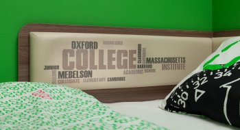 Кровать софа с ящиками Колледж в Чулым - mebel154.com