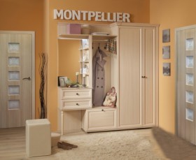 Шкаф для обуви 1 Montpellier в Чулым - mebel154.com