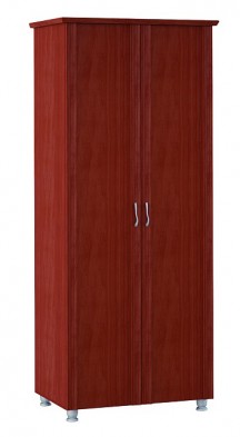 Шкаф для одежды 2-х дверный 3 Элегия в Чулым - mebel154.com