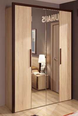 Шкаф для одежды 2-х дверный 9 Bauhaus в Чулым - mebel154.com