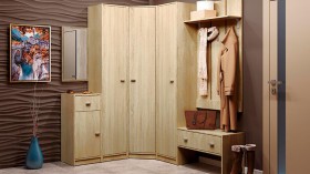 Шкаф для одежды Тифани-1 в Чулым - mebel154.com