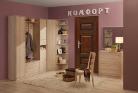 Шкаф для одежды угловой 1 Комфорт в Чулым - mebel154.com