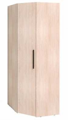 Шкаф для одежды угловой 12 Bauhaus в Чулым - mebel154.com