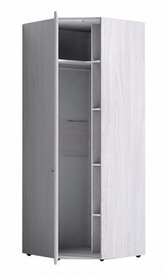 Шкаф для одежды угловой 56-2 Paola в Чулым - mebel154.com