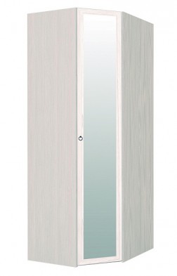 Шкаф для одежды угловой с зеркалом 56-2 Марсель в Чулым - mebel154.com