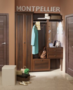 Шкаф для прихожей МЦН 2 Montpellier в Чулым - mebel154.com