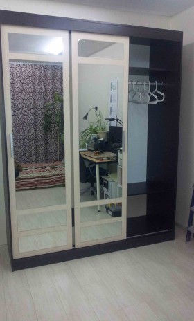 Шкаф-купе Бася СБ-2746 в Чулым - mebel154.com
